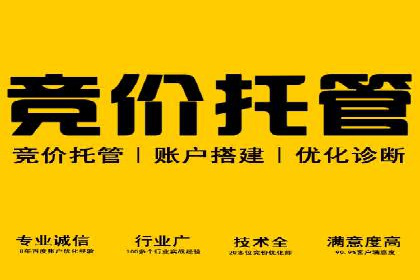 优化SEM广告：成功案例经验分享